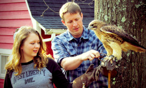 Dr. Joe Greathouse shows WLU student Katie Scott how to handle a hawk at Good Zoo.