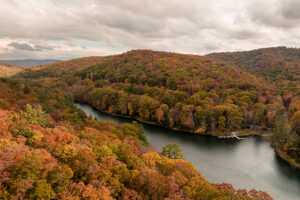 Virginia Fall Foliage