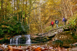 Waterfall Trail WV