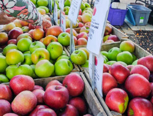 Apple Butter Festival