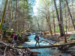Martinsburg-Berkeley County CVB