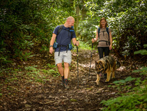 Allegheny Trail Hiking
