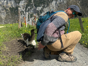One of the cats guiding our tour.